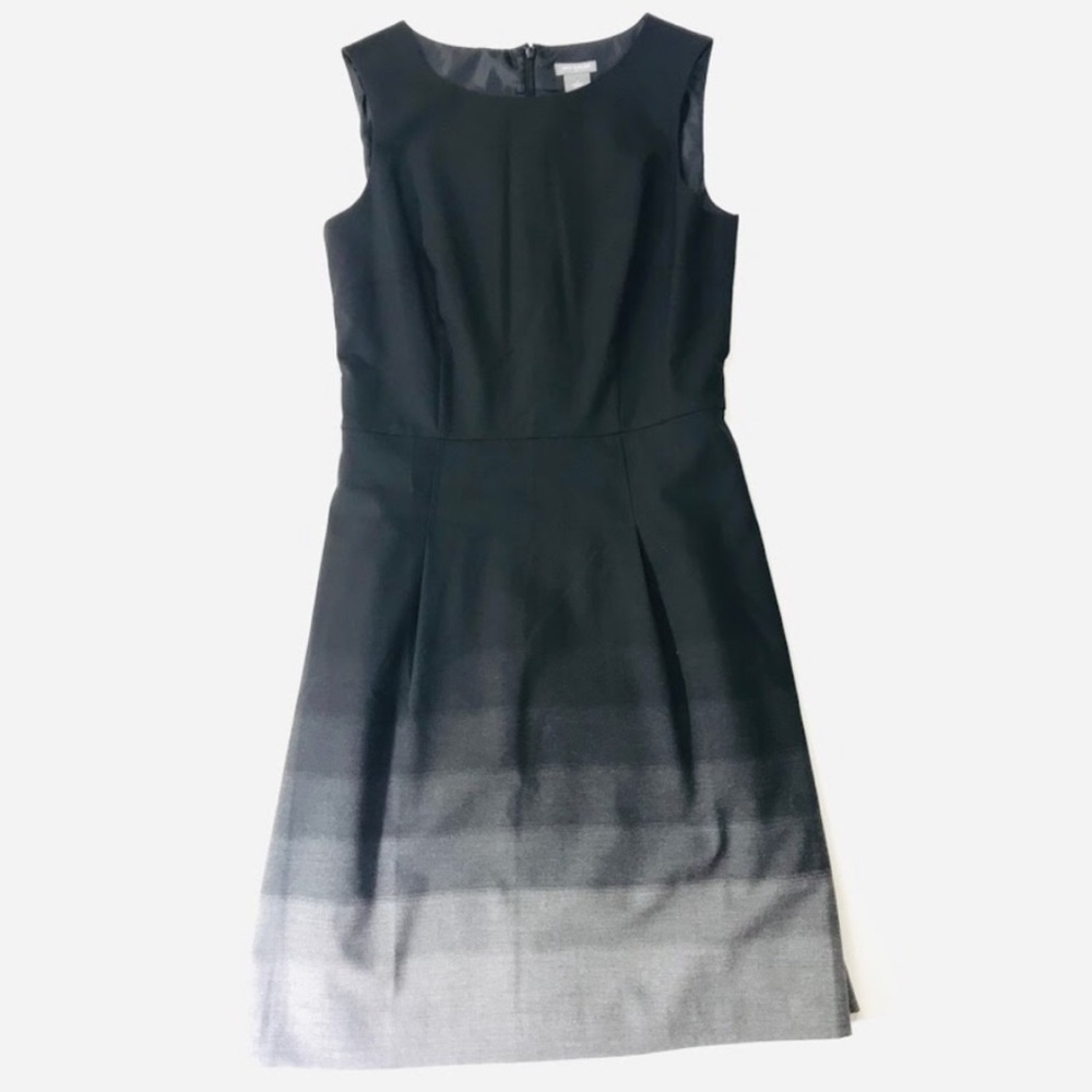 Ann Taylor Petites Dress